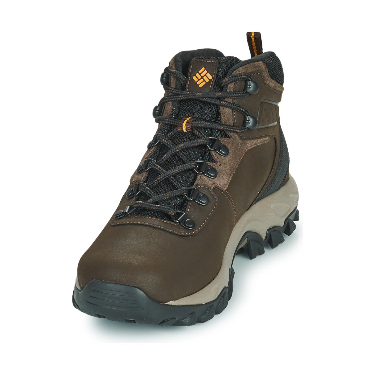 Scarpe da trekking Uomo Columbia  NEWTON RIDGE PLUS II WATERPROOF  Marrone