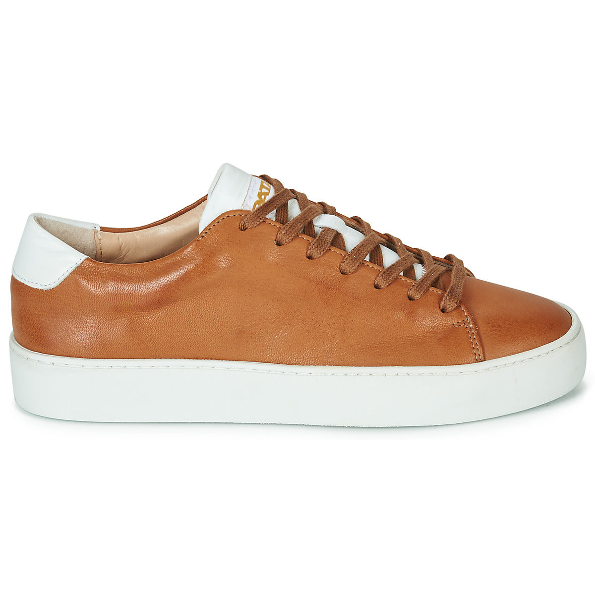 Sneakers basse Donna Pataugas  KELLA  Marrone