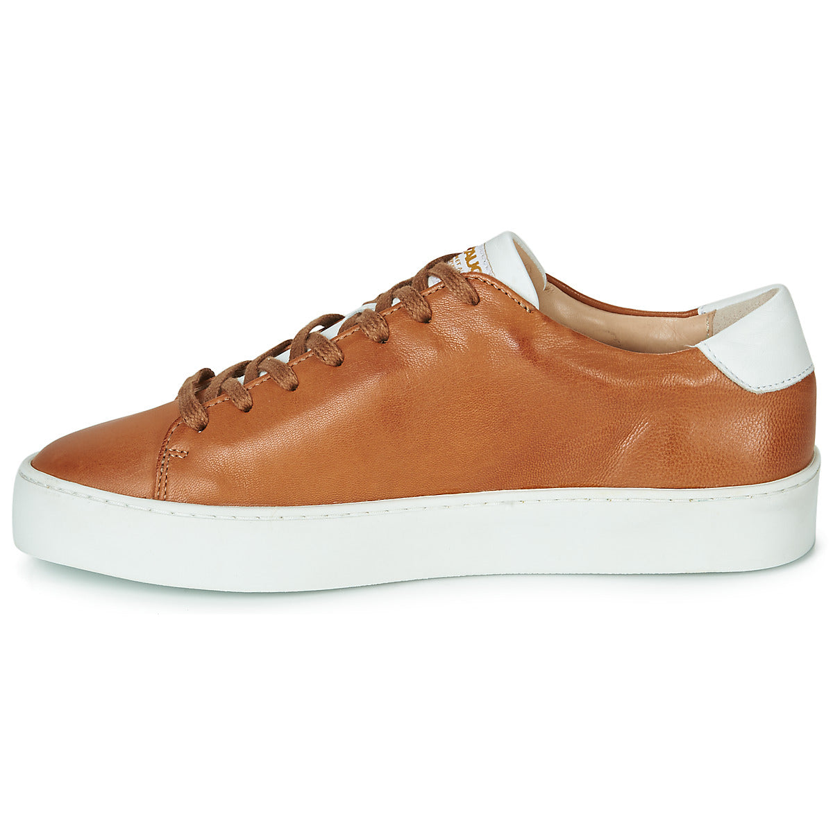 Sneakers basse Donna Pataugas  KELLA  Marrone