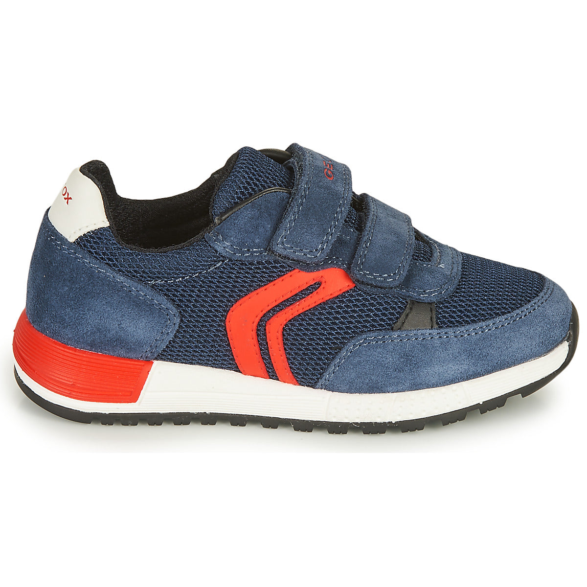 Scarpe bambini ragazzo Geox  ALBEN BOY  Blu