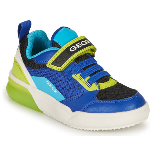 Scarpe bambini ragazzo Geox  GRAYJAY BOY  Blu