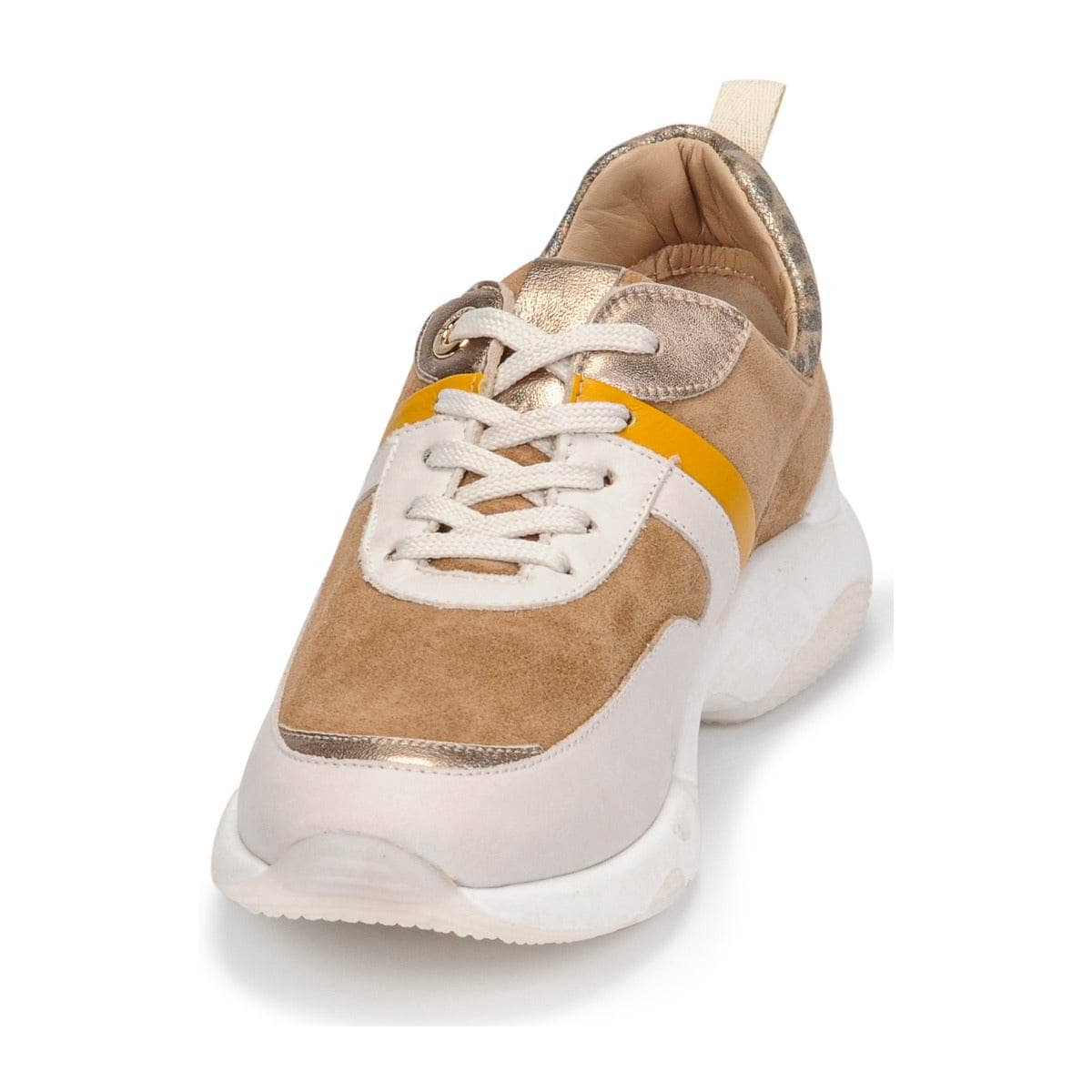 Sneakers basse Donna JB Martin  WILO  Marrone