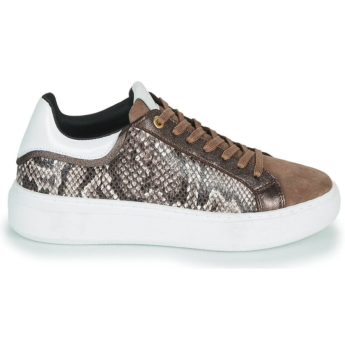 Sneakers basse Donna JB Martin  HIBISCUS  Marrone