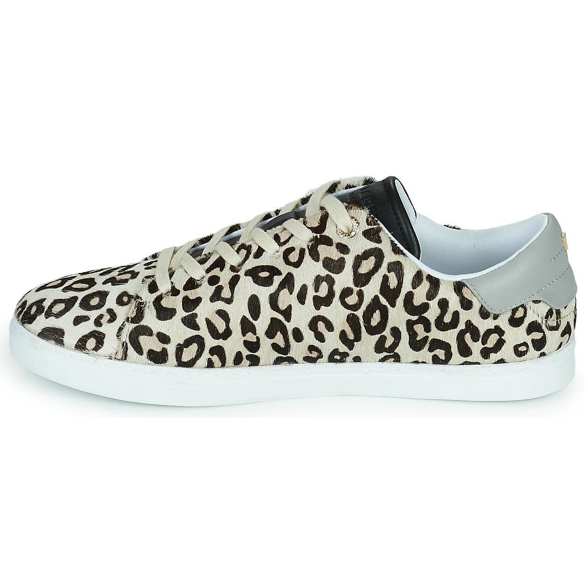 Sneakers basse Donna Ted Baker  FEEKEY  Multicolore