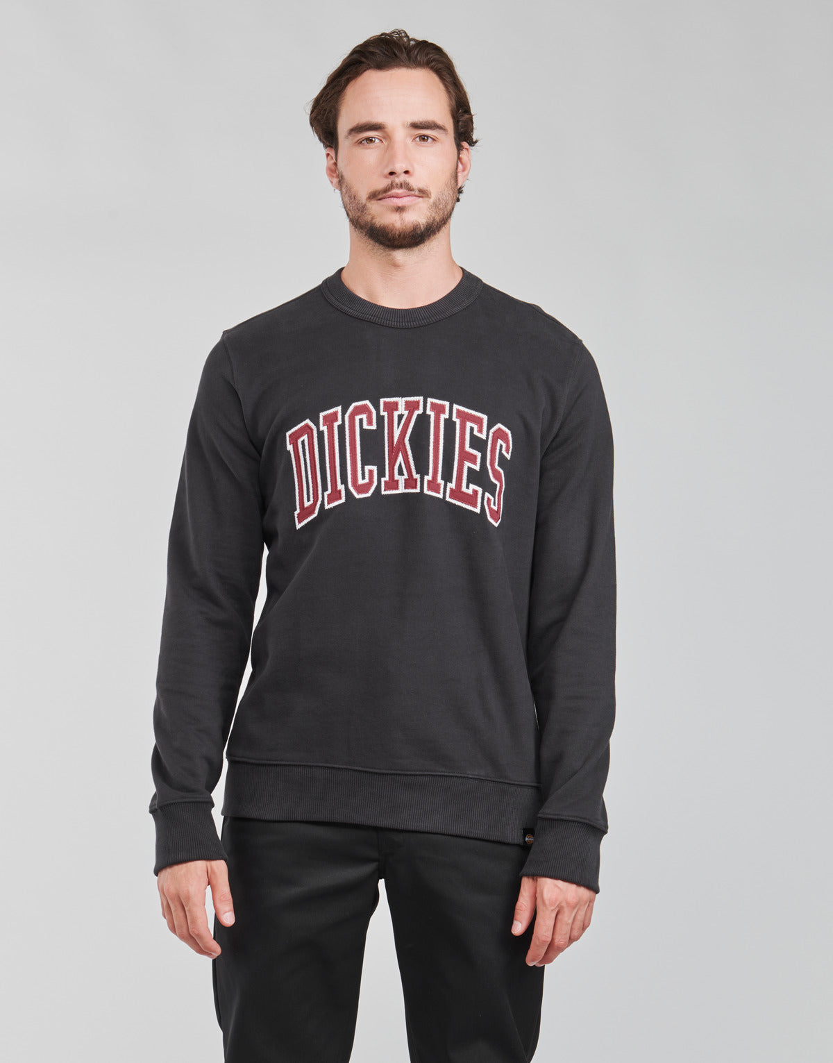 Felpa Uomo Dickies  AITKIN SWEATSHIRT  Nero