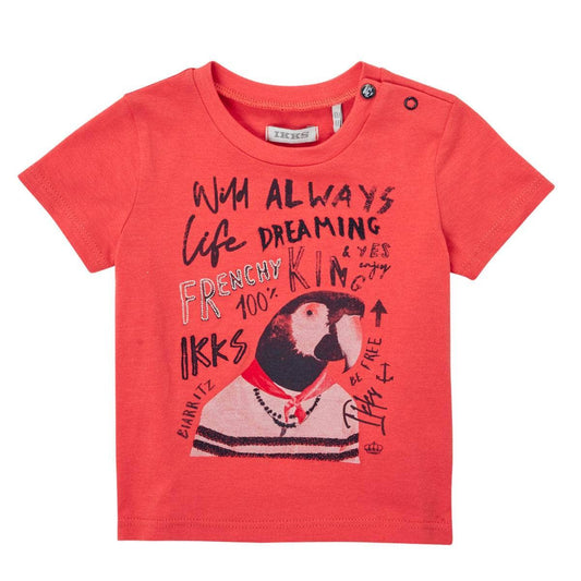 T-shirt ragazzo Ikks  ACHARPOT  Arancio