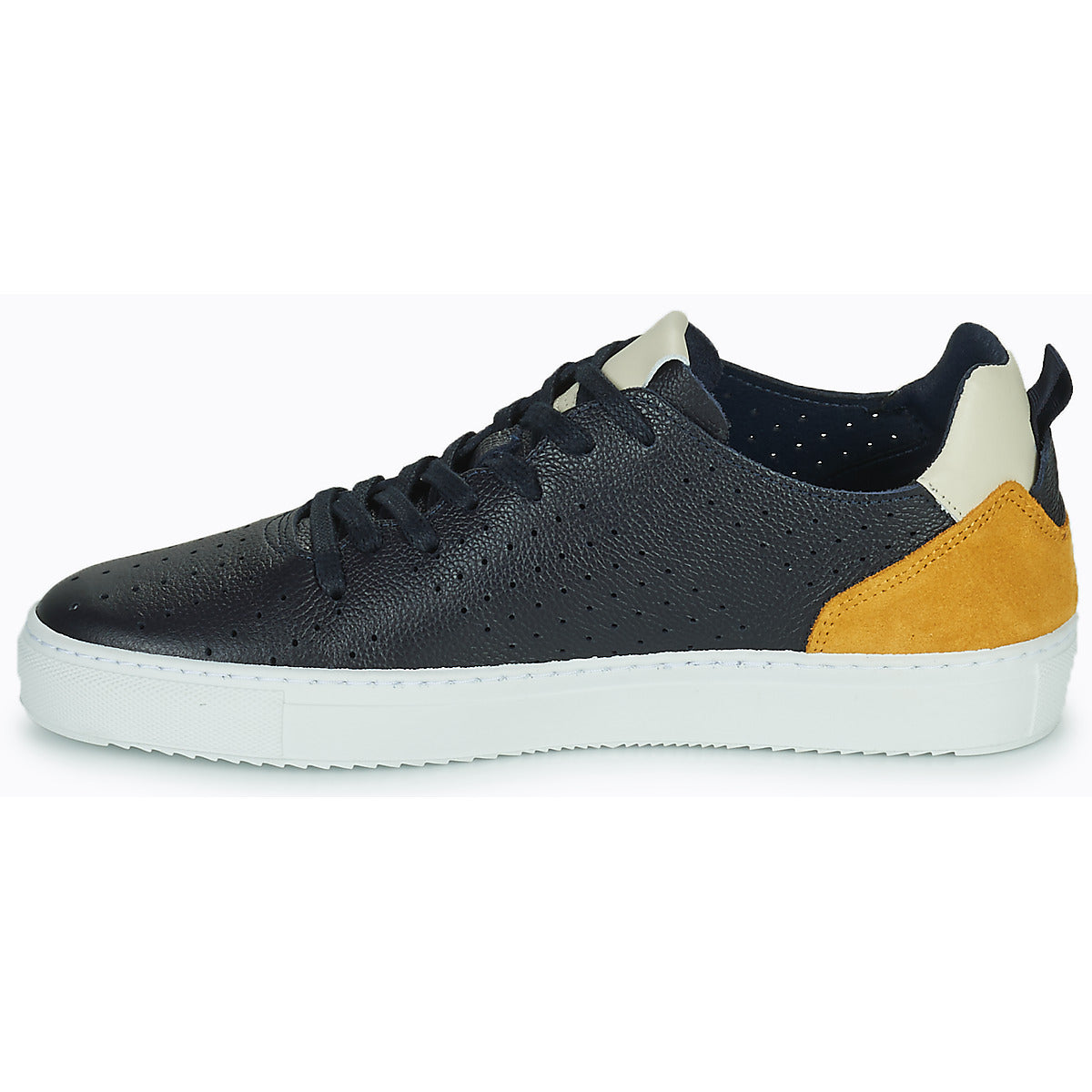 Sneakers Uomo Carlington  FREDDI  Marine