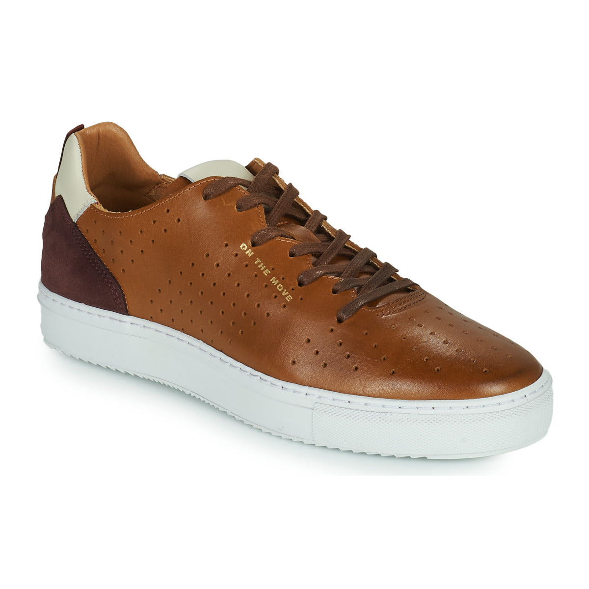 Sneakers Uomo Carlington  FREDDI  Marrone