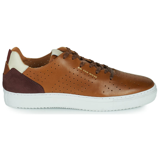 Sneakers Uomo Carlington  FREDDI  Marrone