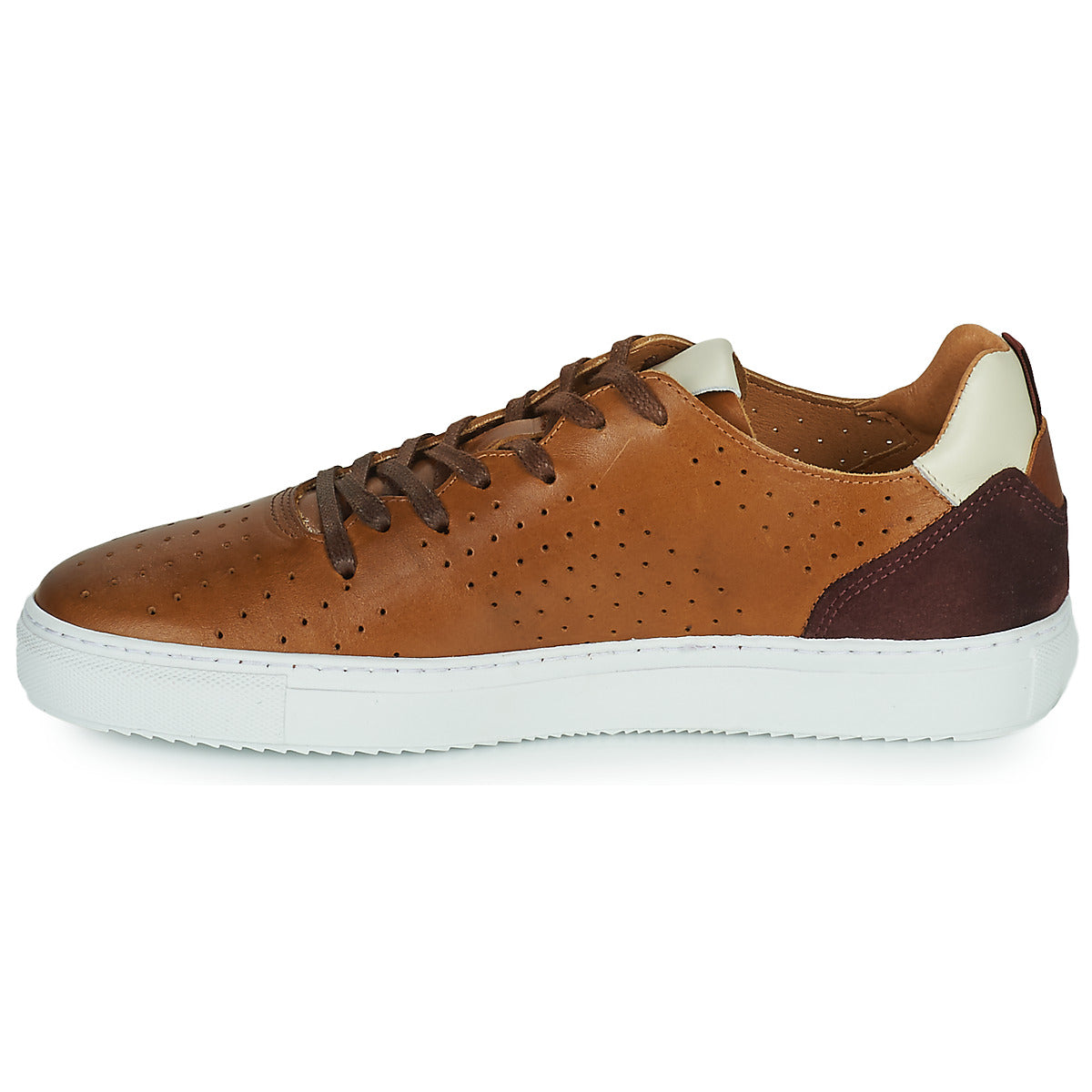 Sneakers Uomo Carlington  FREDDI  Marrone