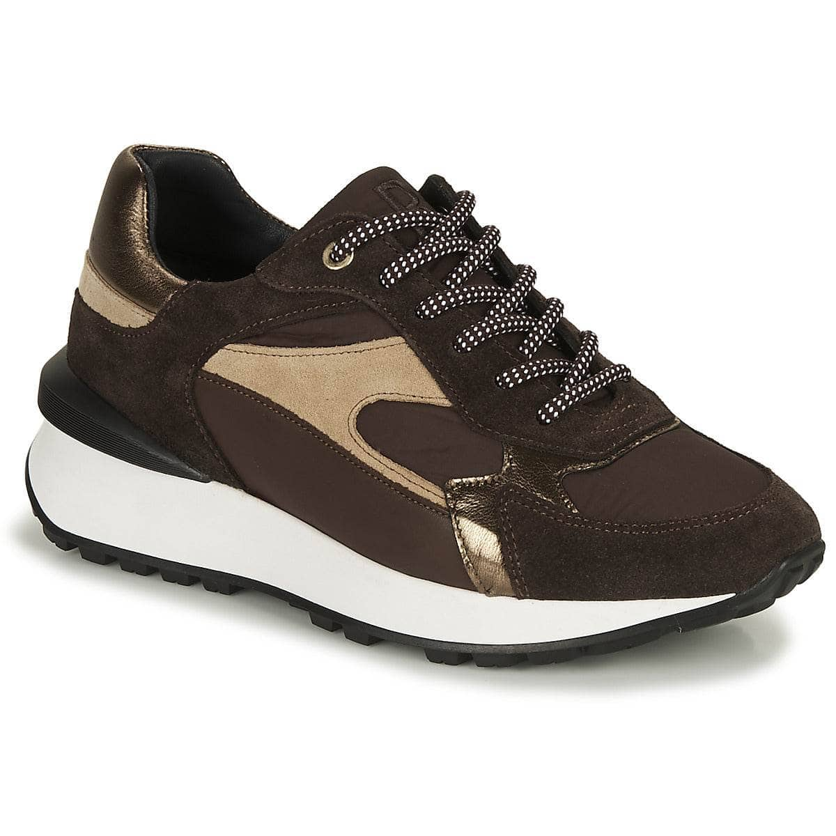 Sneakers basse Donna JB Martin  FORTE  Marrone