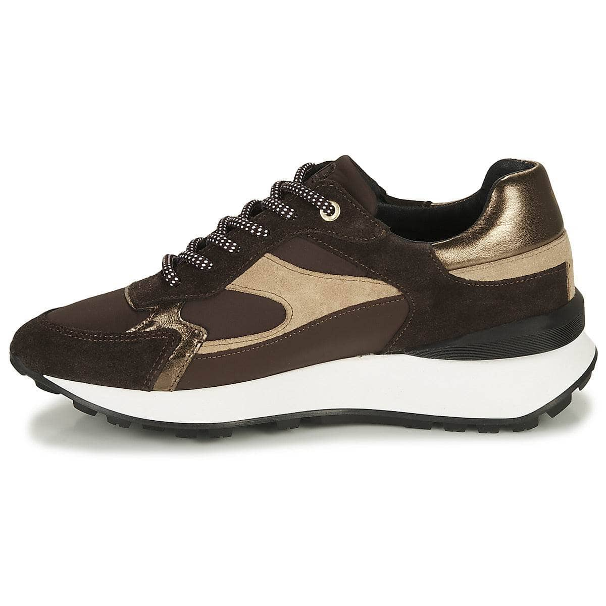 Sneakers basse Donna JB Martin  FORTE  Marrone