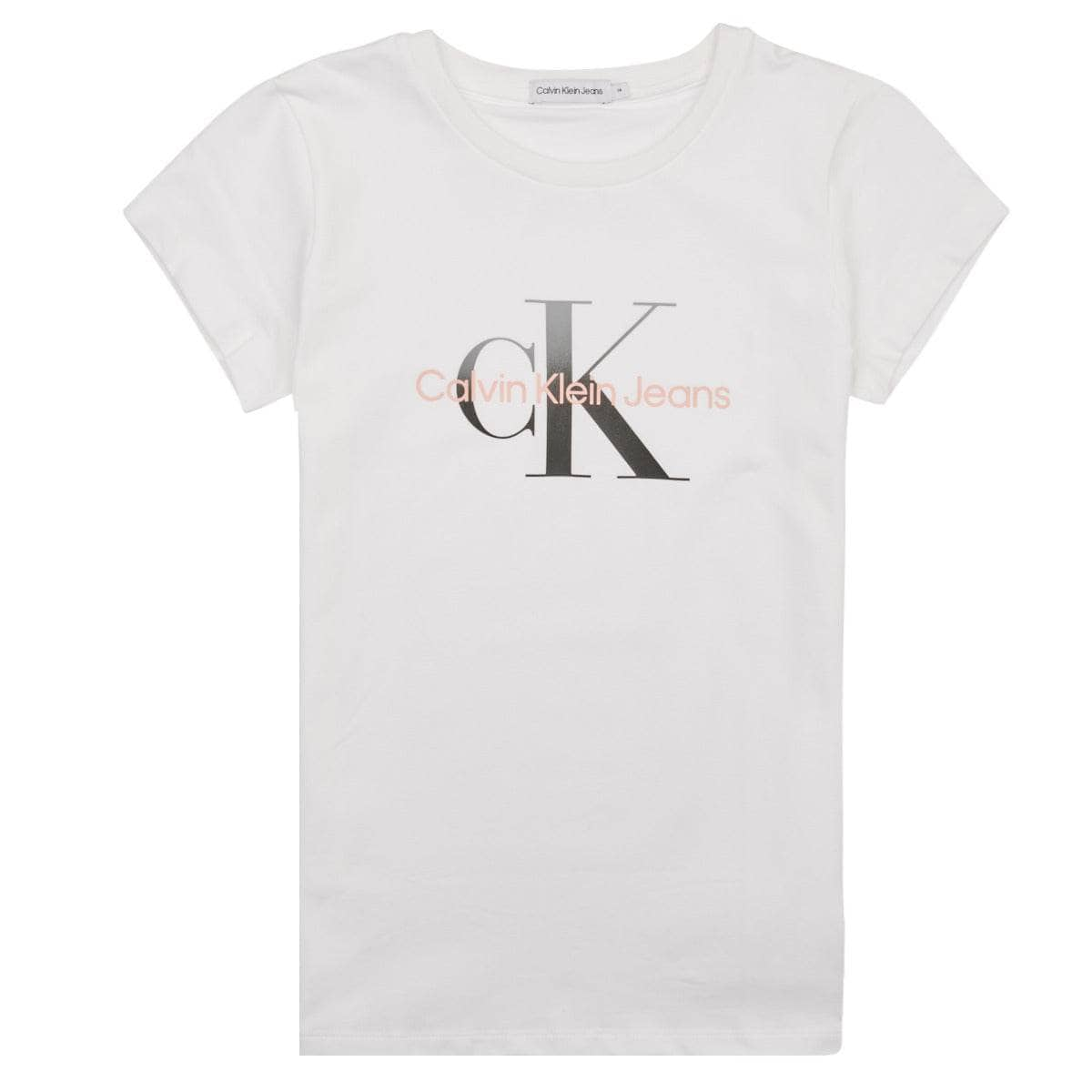 T-shirt ragazza Calvin Klein Jeans  GRADIENT MONOGRAM T-SHIRT  Bianco