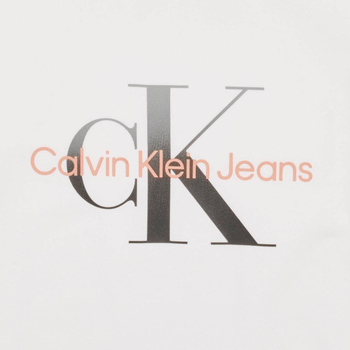 T-shirt ragazza Calvin Klein Jeans  GRADIENT MONOGRAM T-SHIRT  Bianco