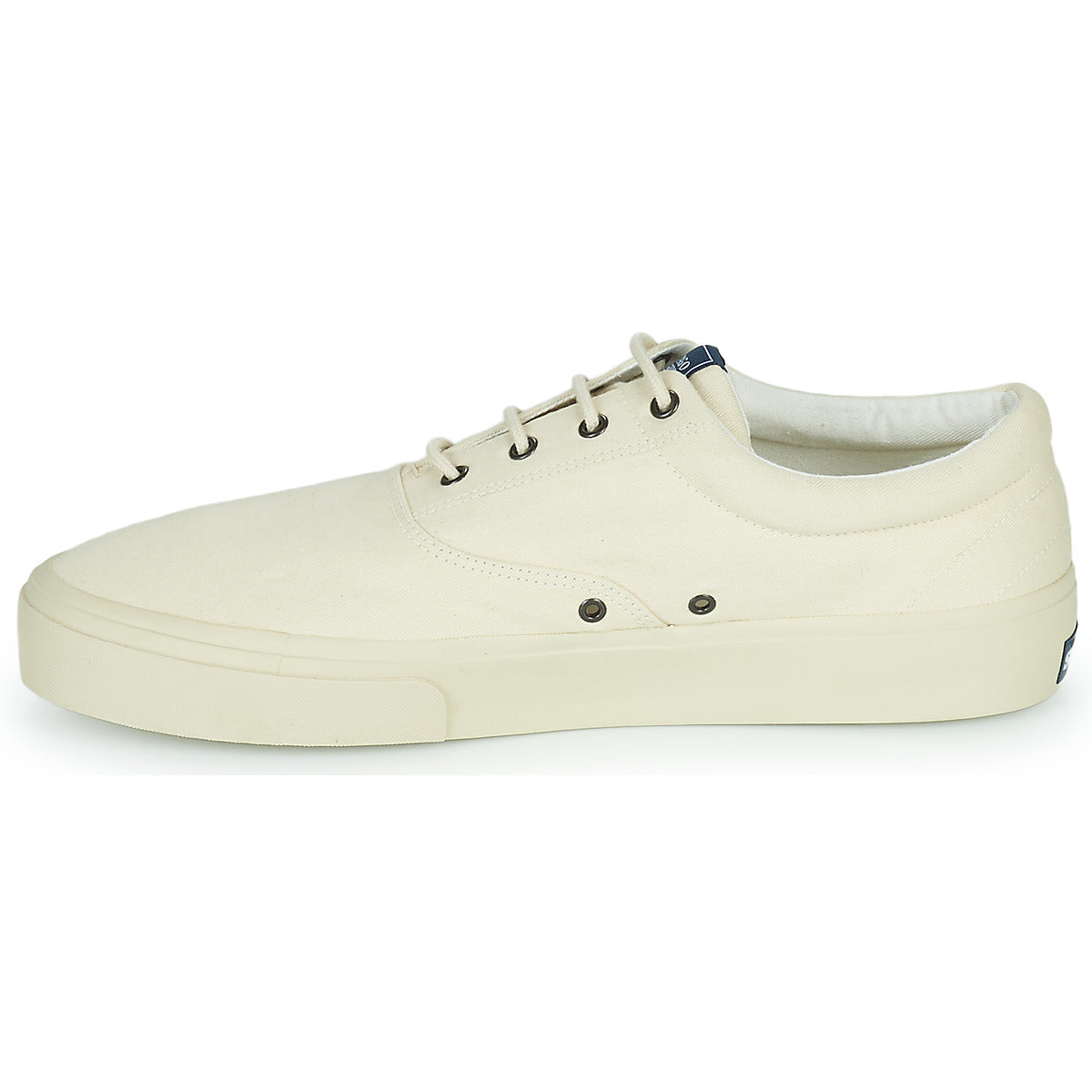 Sneakers Uomo Sebago  JOHN SUEDE  Bianco