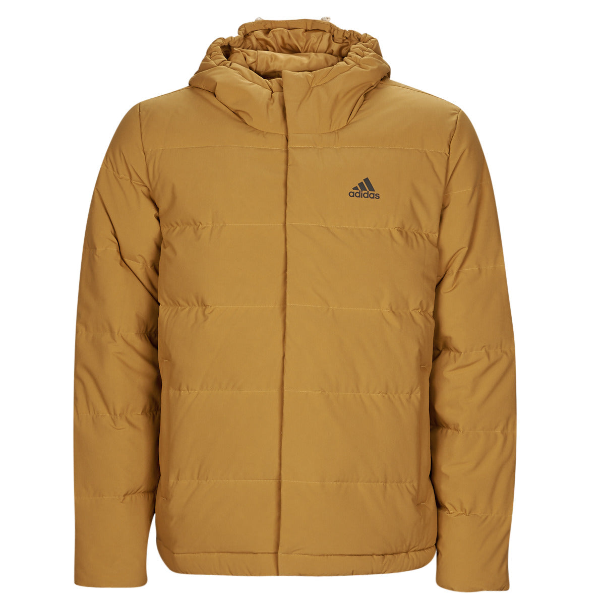 Piumino Uomo adidas  HELIONIC HO JKT  Giallo