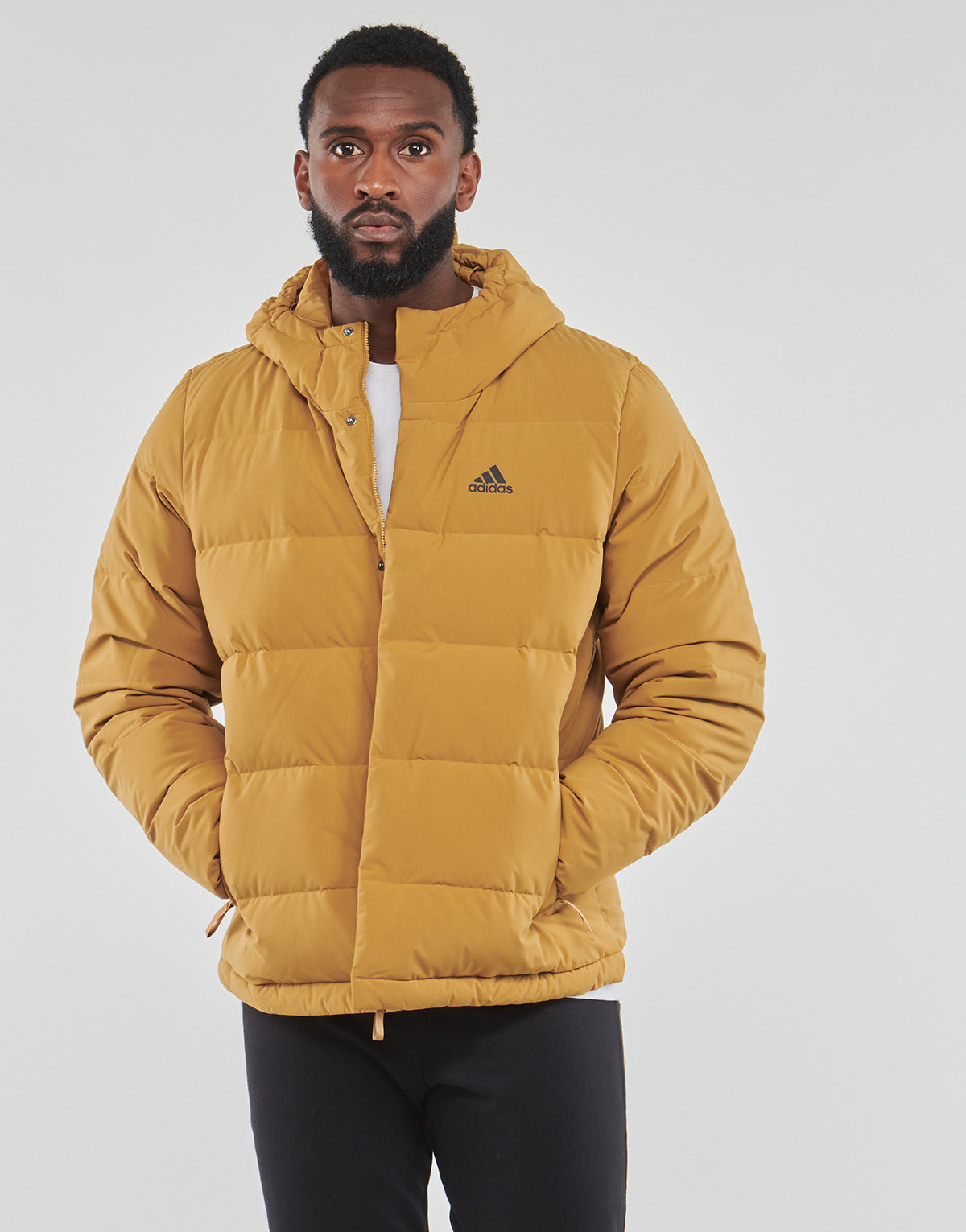 Piumino Uomo adidas  HELIONIC HO JKT  Giallo