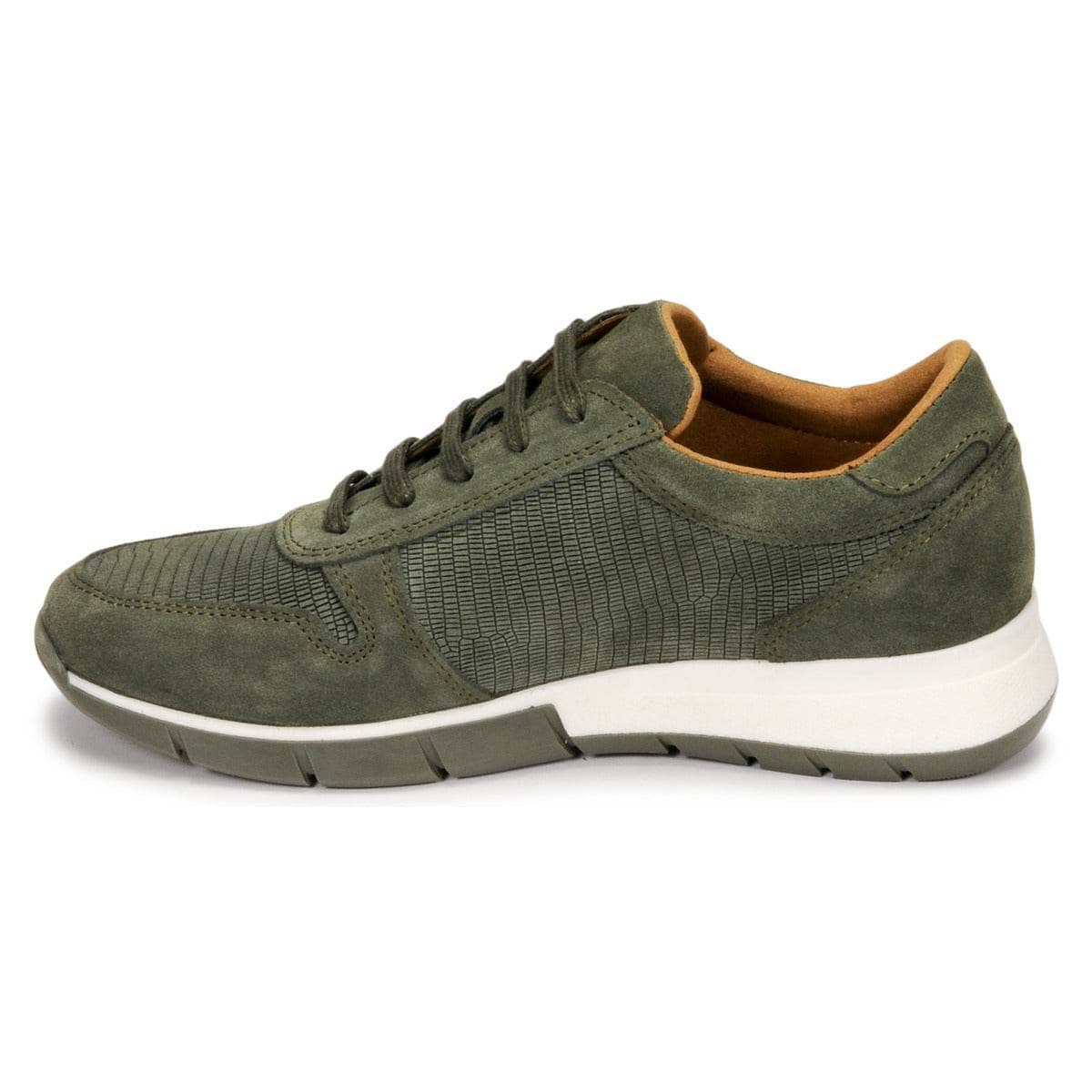 Sneakers basse Donna Dream in Green  ARTEMISIA  Verde