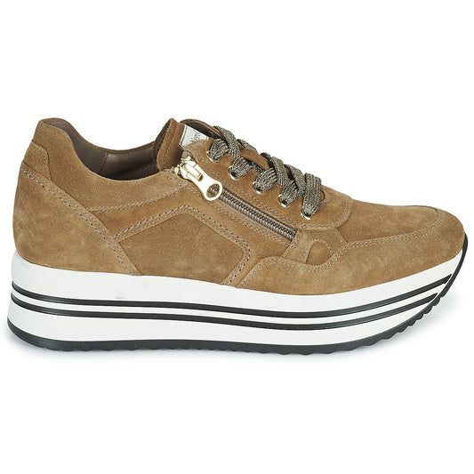 Sneakers basse Donna NeroGiardini  MALTO  Marrone