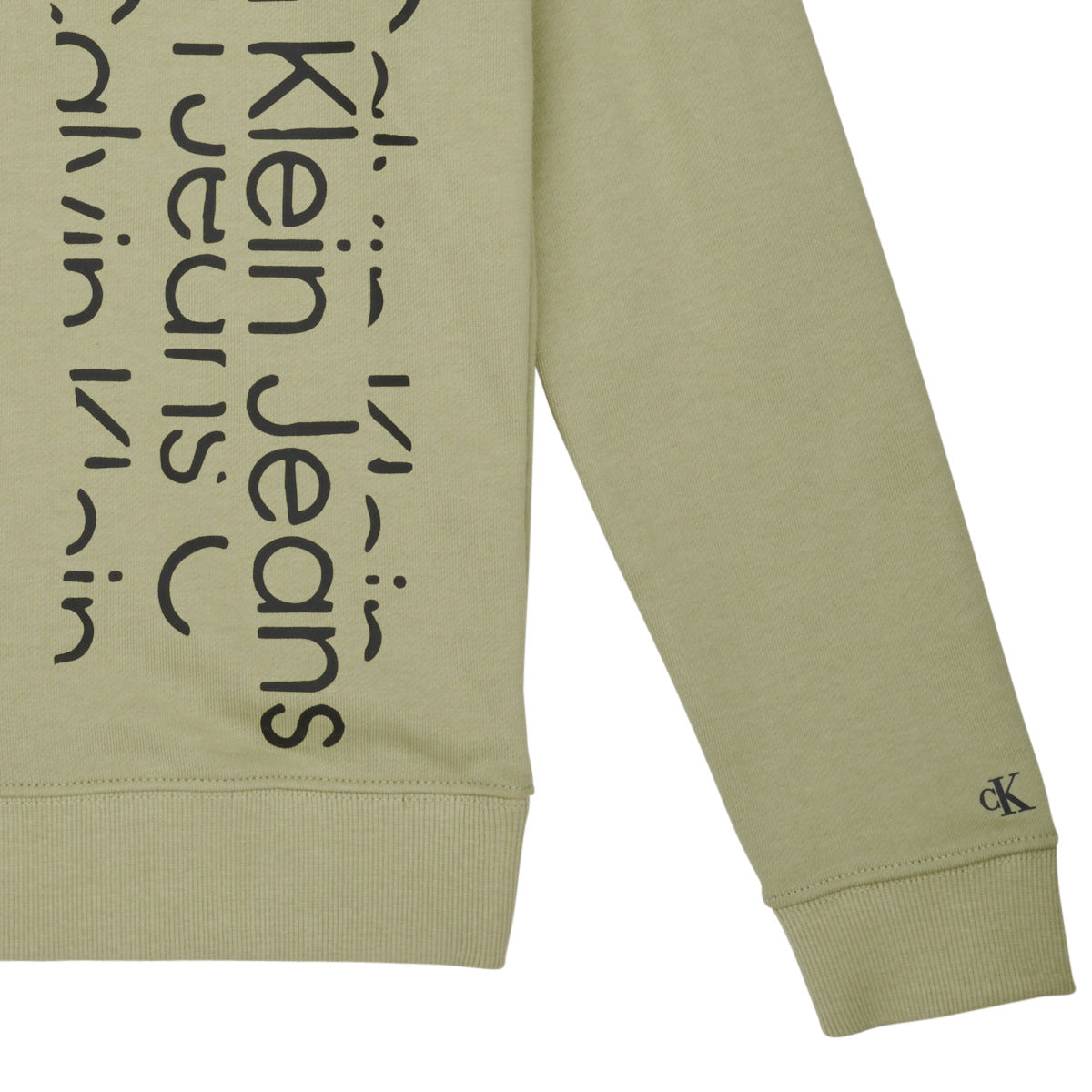 Felpa ragazzo Calvin Klein Jeans  REPEAT INSTITUTIONAL LOGO HOODIE  Kaki