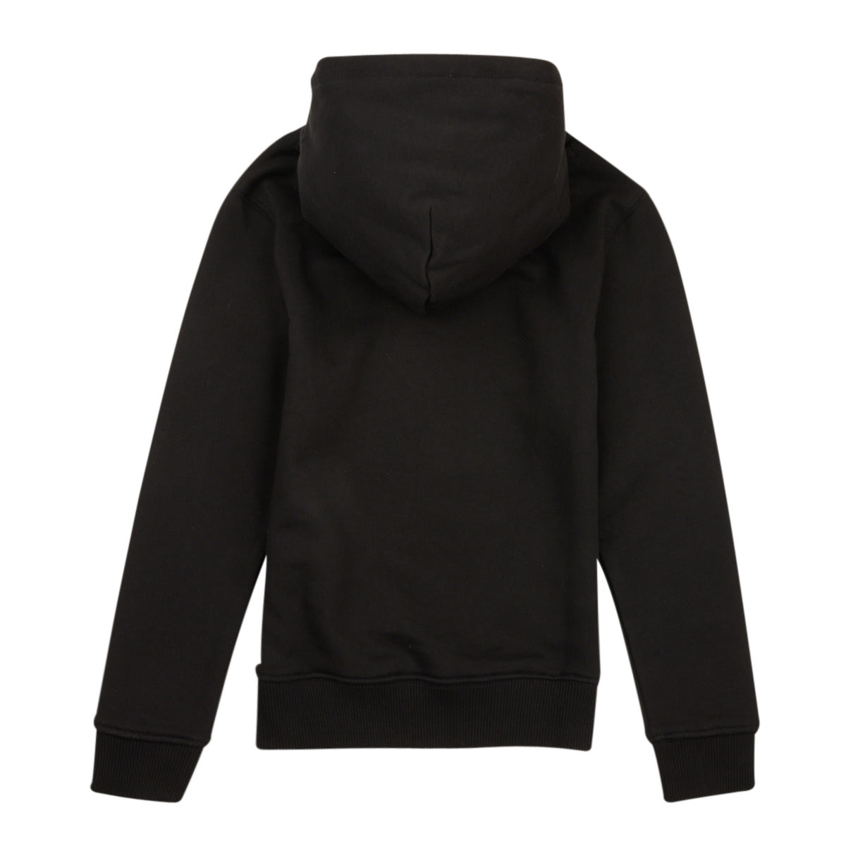 Felpa ragazzo Calvin Klein Jeans  SMALL MONOGRAM HOODIE  Nero