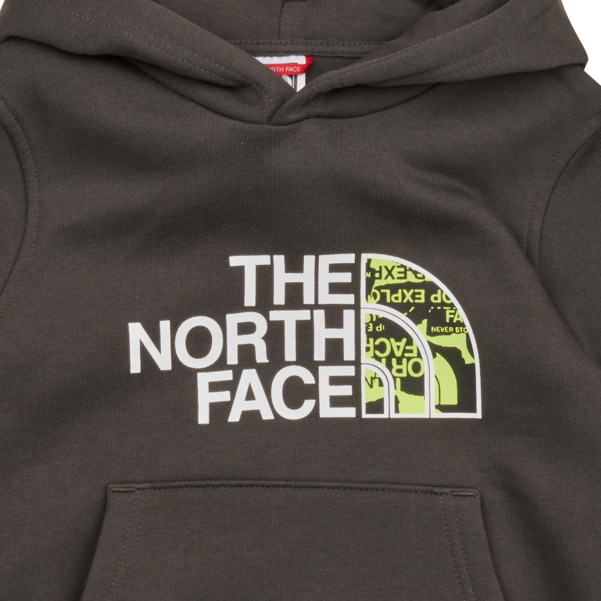 Felpa ragazzo The North Face  Boys Drew Peak P/O Hoodie  Grigio