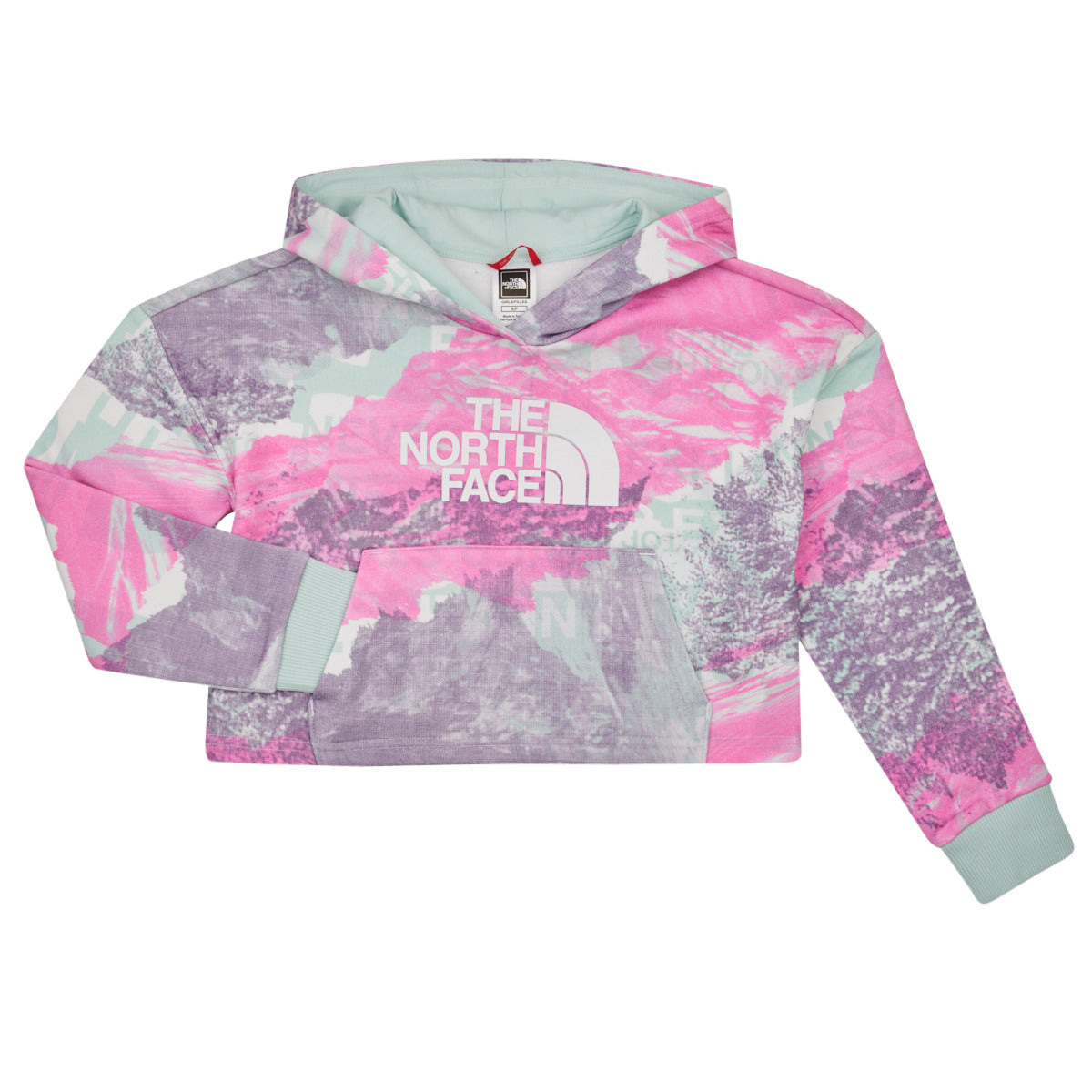 Felpa ragazza The North Face  Girls Drew Peak Light Hoodie  Multicolore