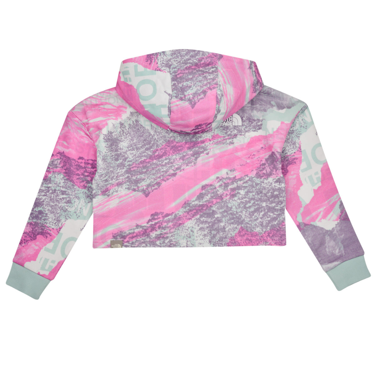 Felpa ragazza The North Face  Girls Drew Peak Light Hoodie  Multicolore