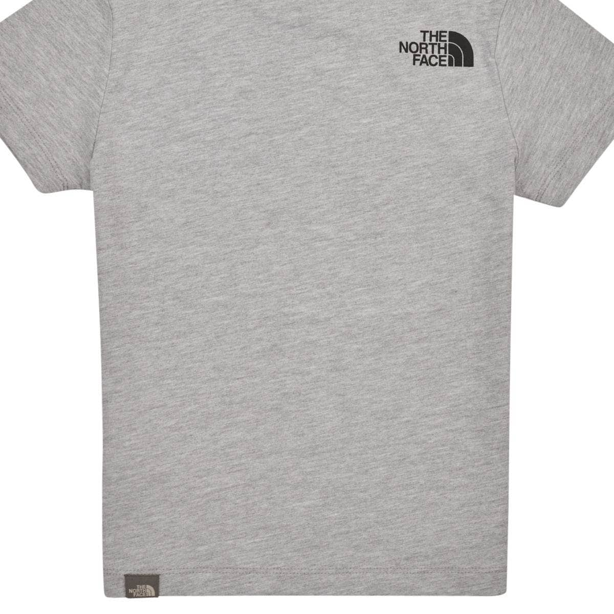 T-shirt ragazzo The North Face  Boys S/S Easy Tee  Grigio