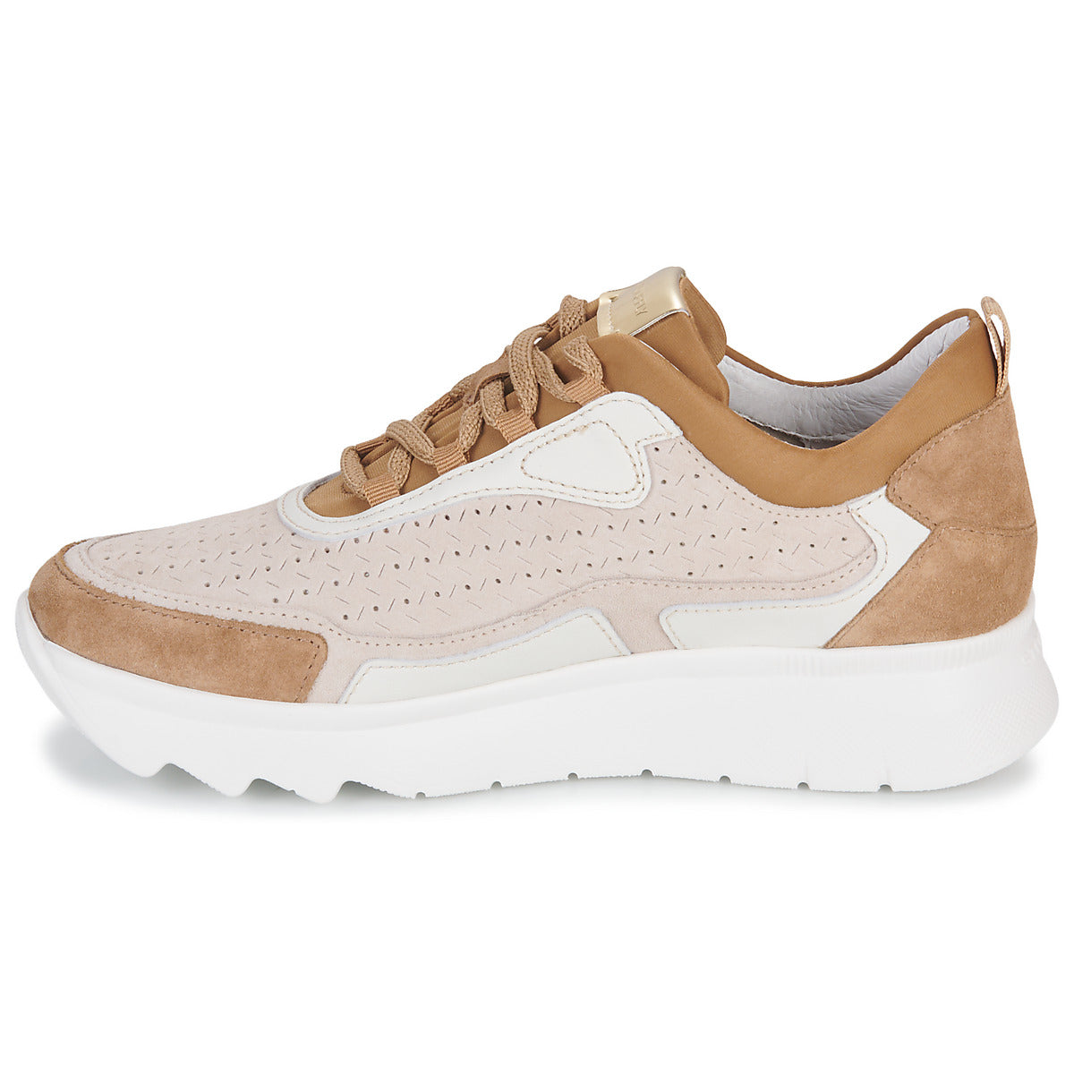 Sneakers basse Donna Stonefly  SPOCK 36  Marrone