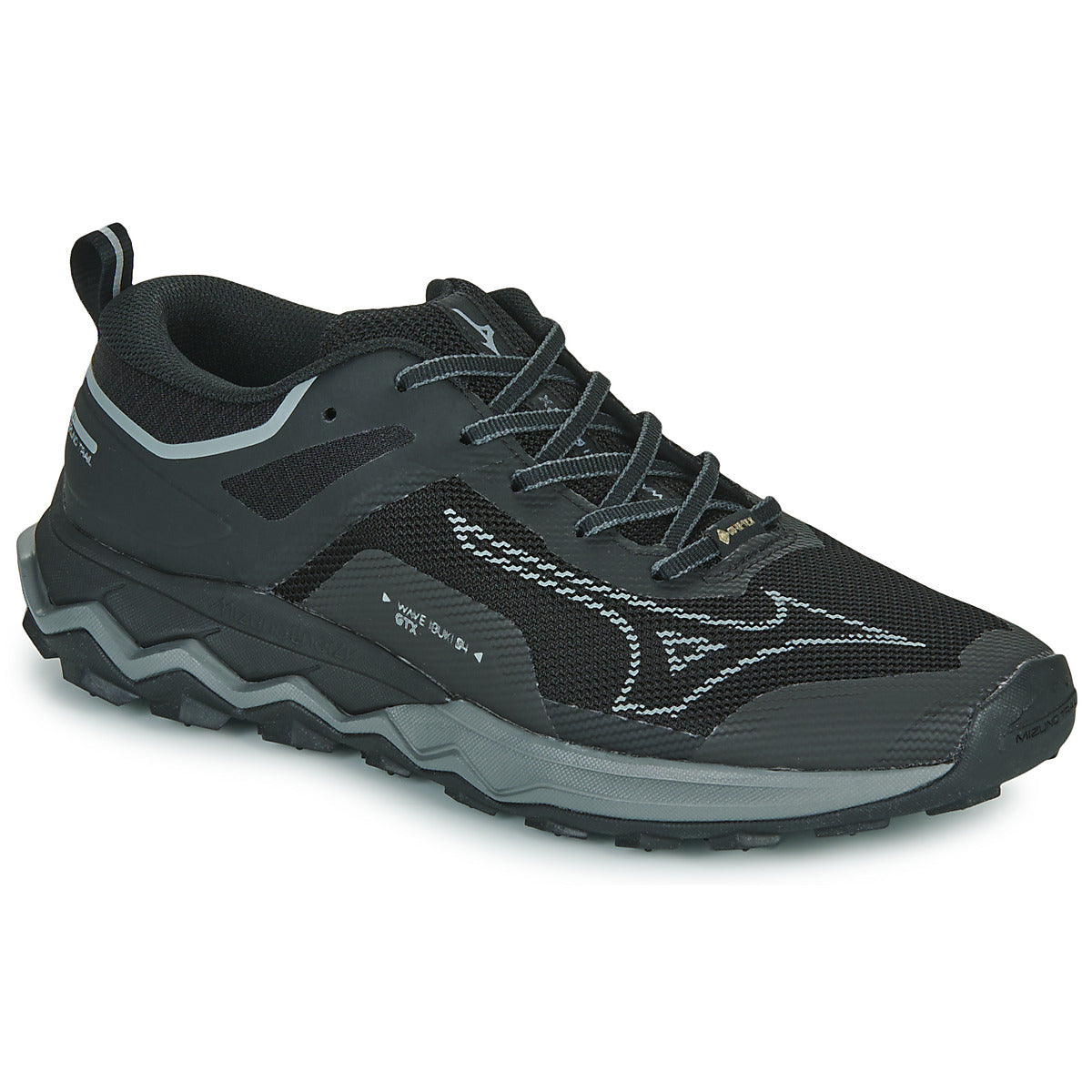 Scarpe Uomo Mizuno  WAVE IBUKI 4 GTX  Nero